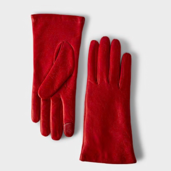 Aritzia Accessories - Babaton leather gloves